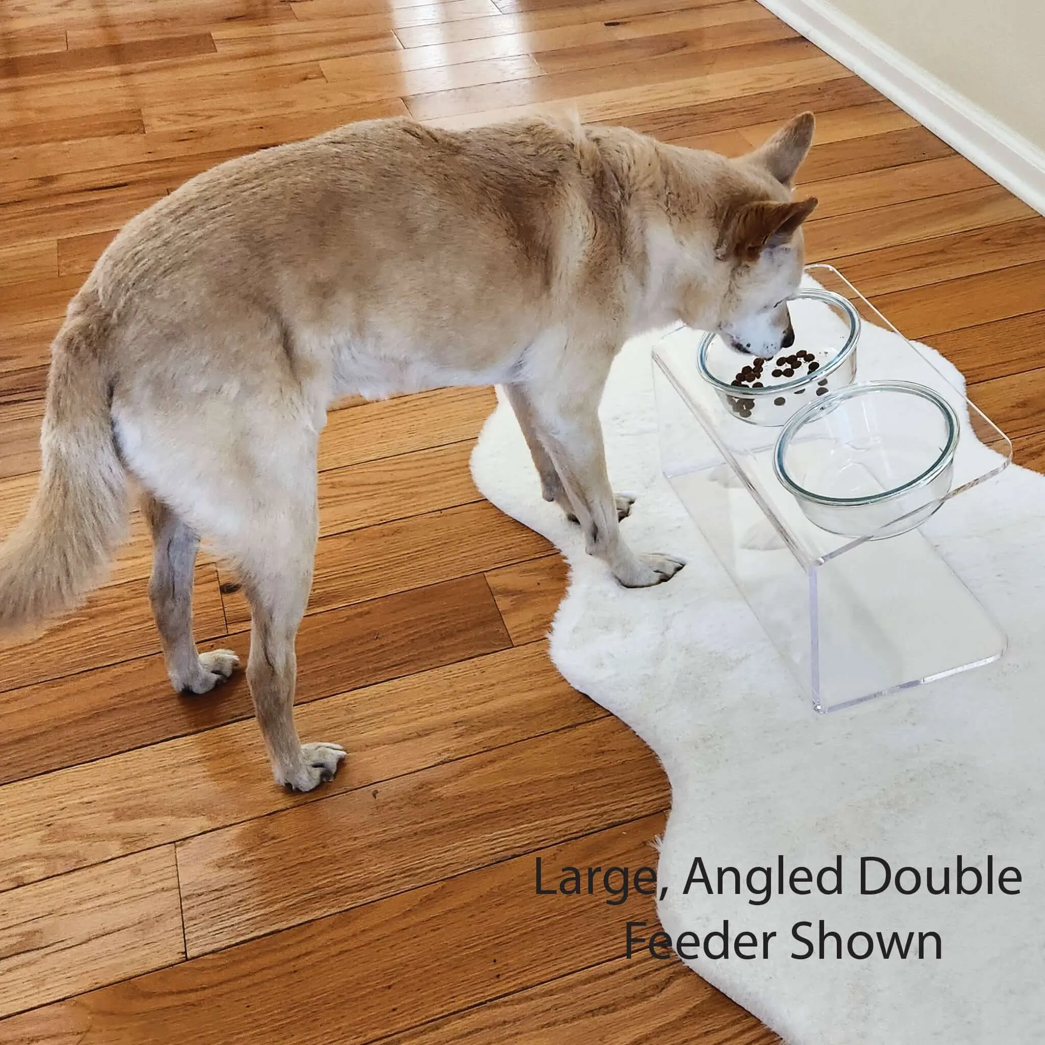 Modern Acrylic Glass Bowl Feeders, Standard Style, Double Bowl